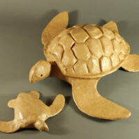 Biodegradable Paper Turtles