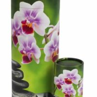 Scattering Tube Orchid